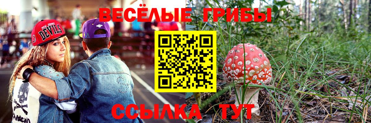Малоярославец  Псилоцибиновые грибы Psilocybe  Галлюциногенные грибы Psilocybe  Вход с VPN 